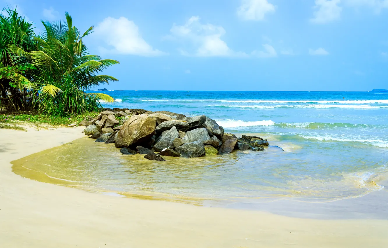 Photo wallpaper sand, sea, beach, tropics, palm trees, shore, summer, sunshine