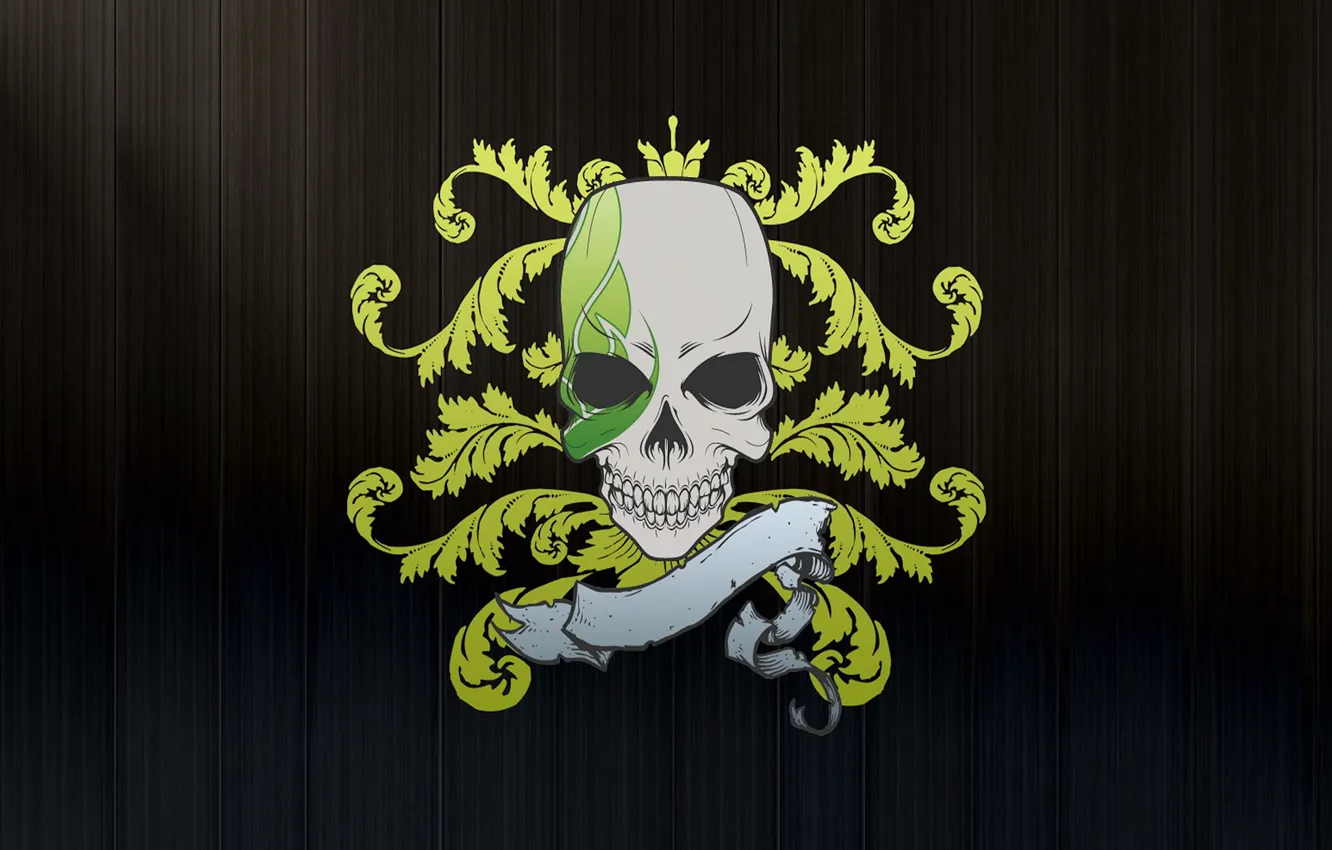 Photo wallpaper background, vector, Skull
