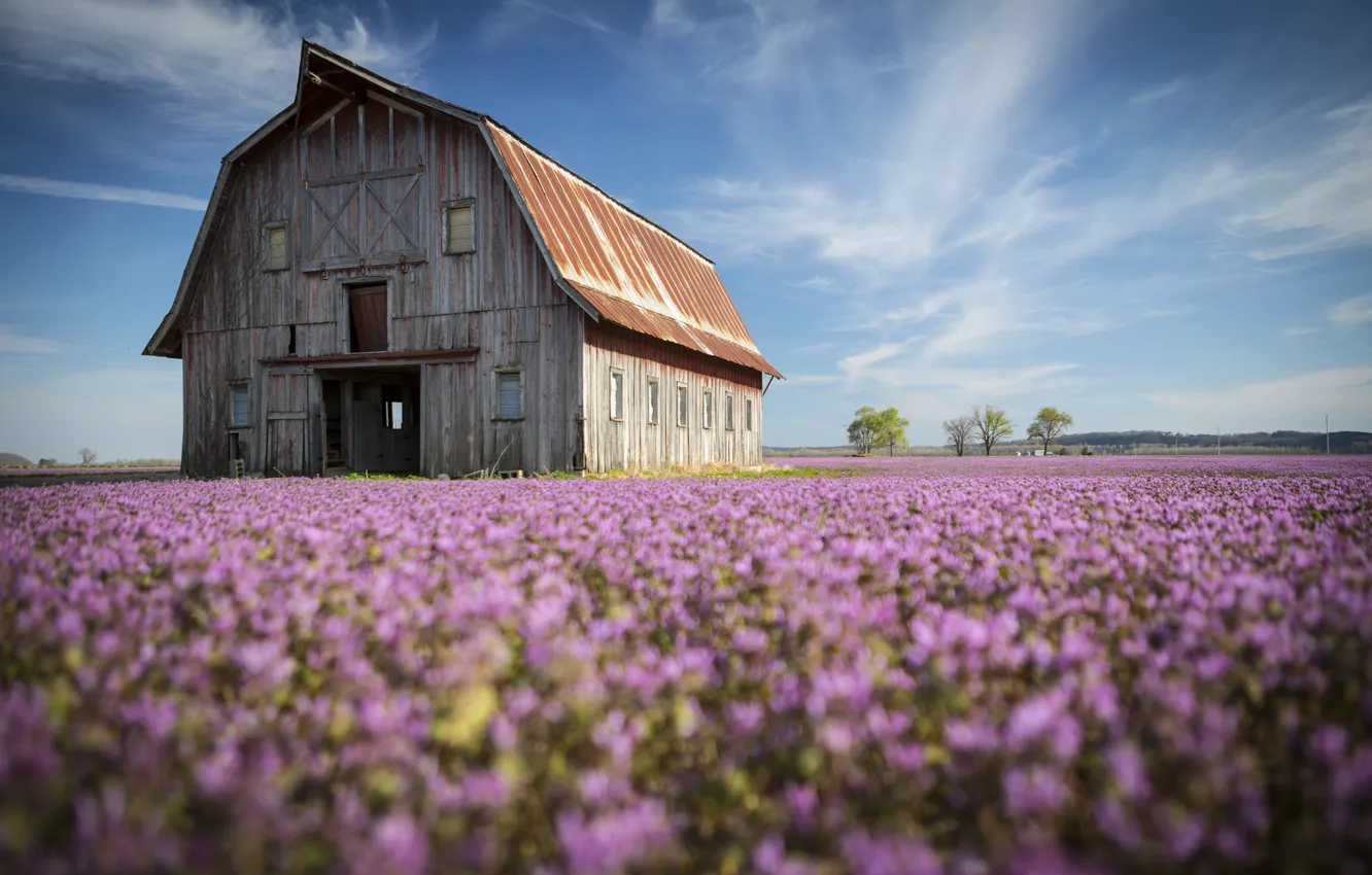 Photo wallpaper field, the sky, grass, clouds, flowers, home, Devereaux