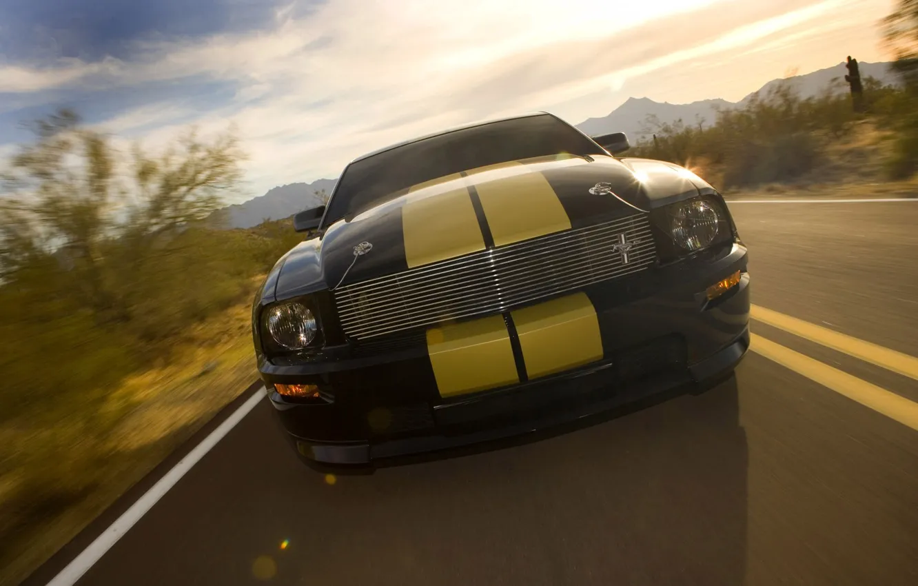 Photo wallpaper Mustang, Shelby, GT500