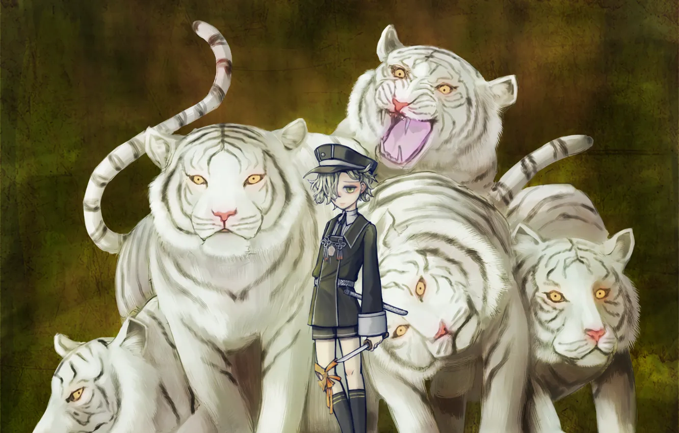 Photo wallpaper boy, white tigers, Touken Ranbu, Gokotai