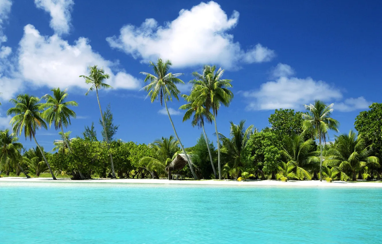 Photo wallpaper sand, water, palm trees, the ocean, tropical island, beach.sea