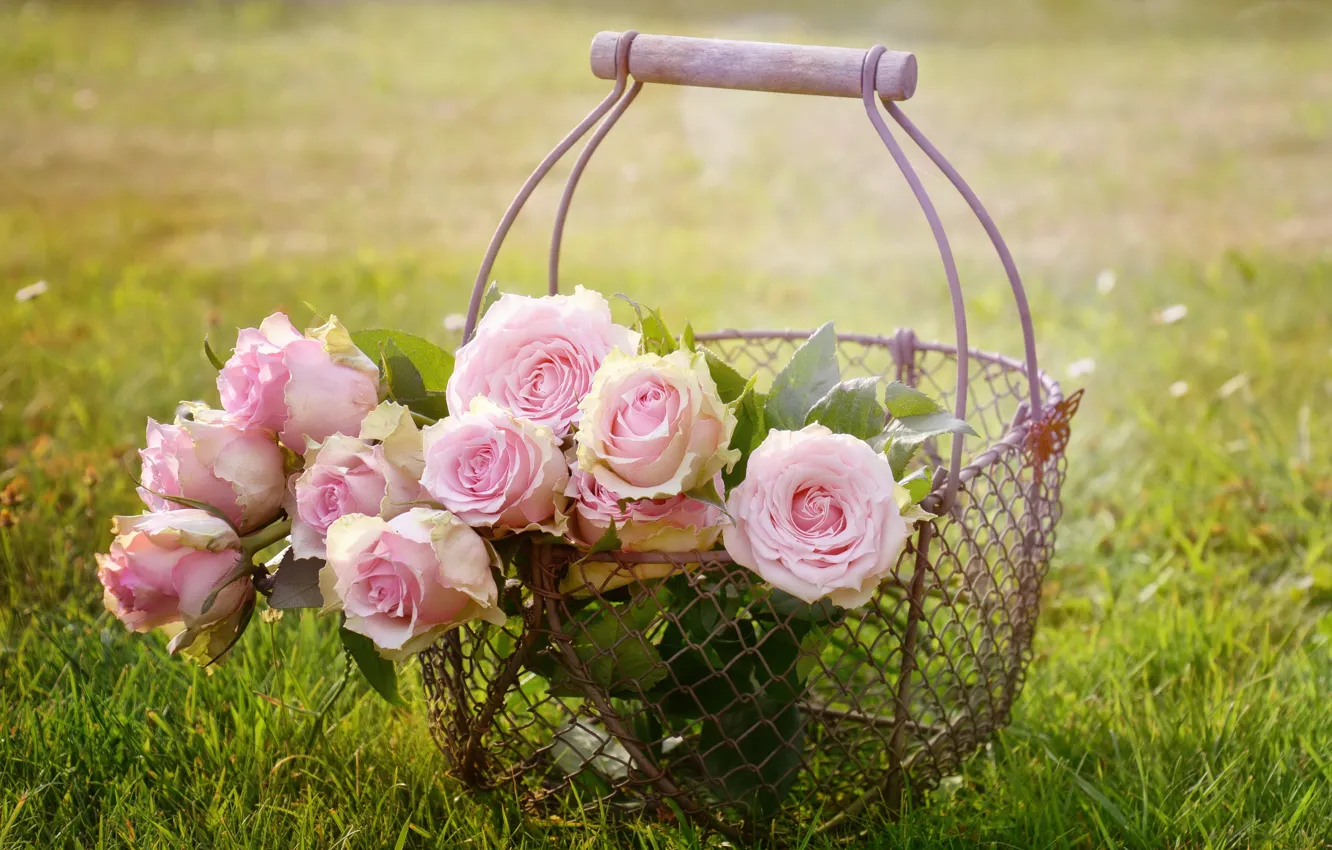 Photo wallpaper summer, flowers, roses, bouquet, pink, basket