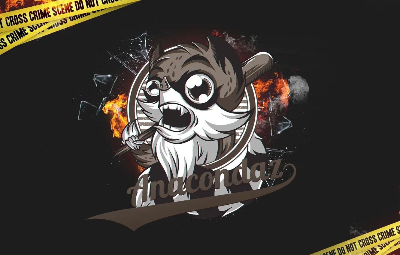 Photo wallpaper minimalism, raccoon, AnacondaZ