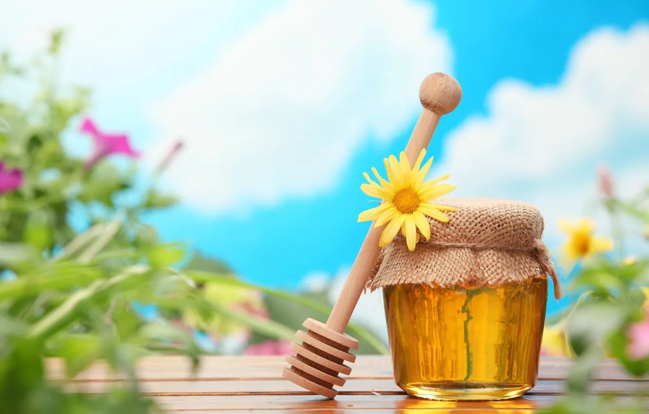 Photo wallpaper flowers, honey, Bank, beekeeping