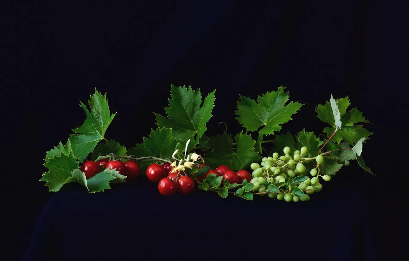 Photo wallpaper leaves, grapes, tomatoes