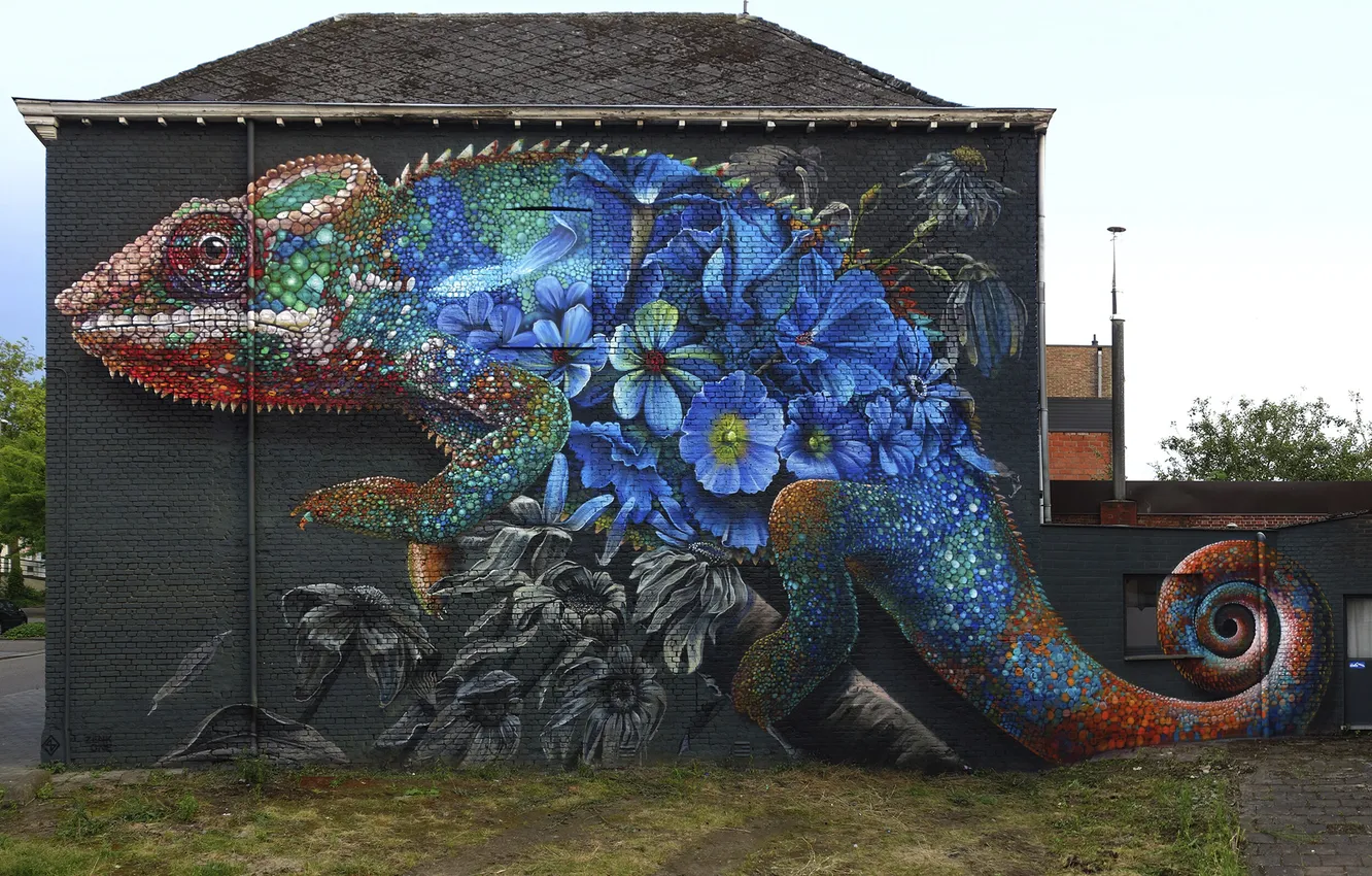 Photo wallpaper the sky, flowers, city, the city, chameleon, building, sky, flowers