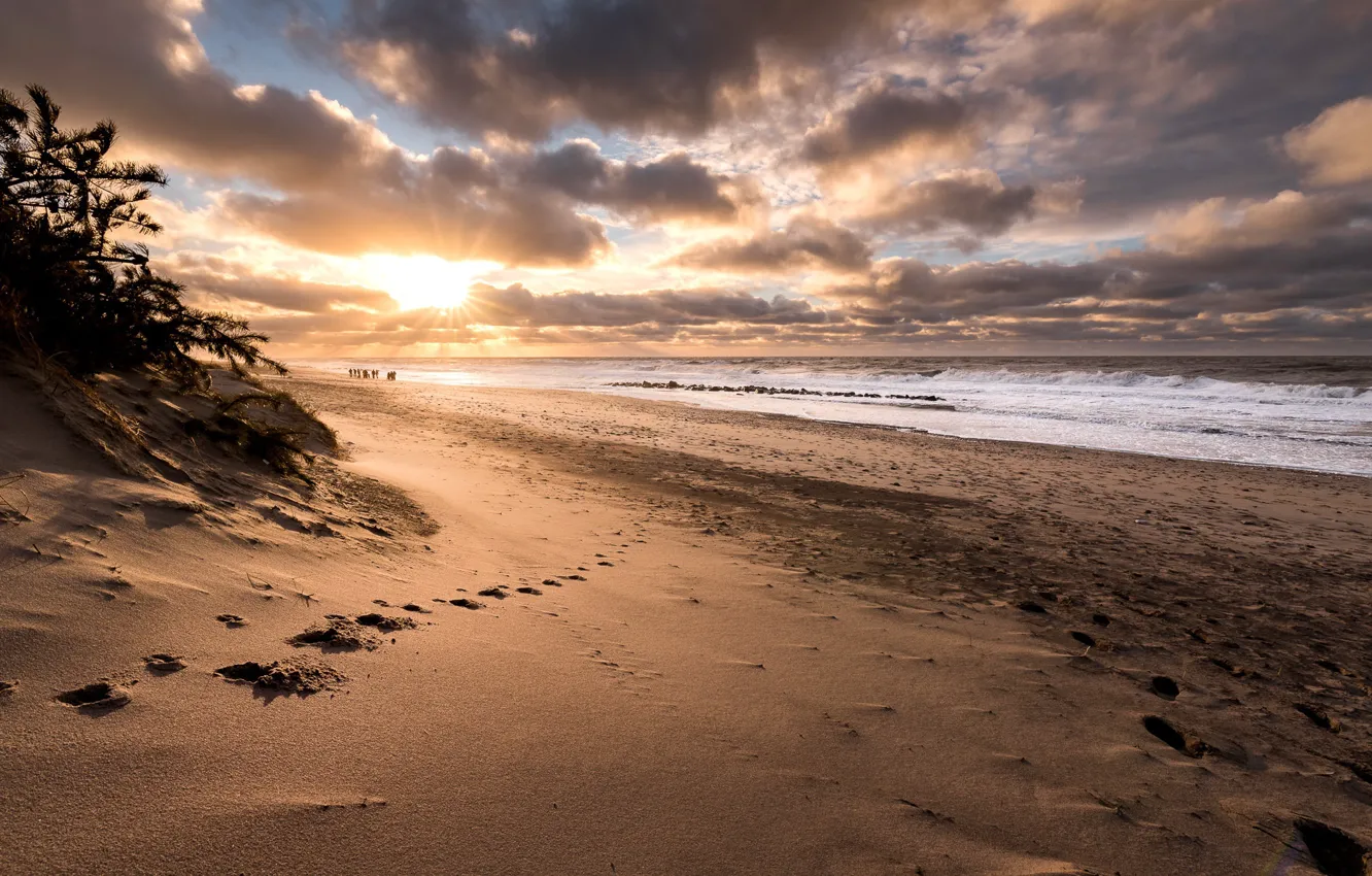 Photo wallpaper beach, sunset, Denmark, Nsw, Vrist