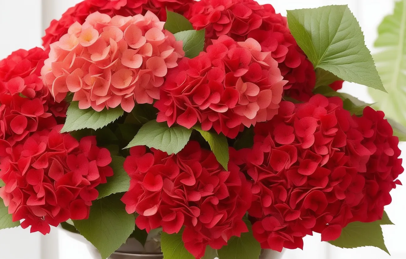 Photo wallpaper flowers, red, green, green, tenderness, figure, colored, plant