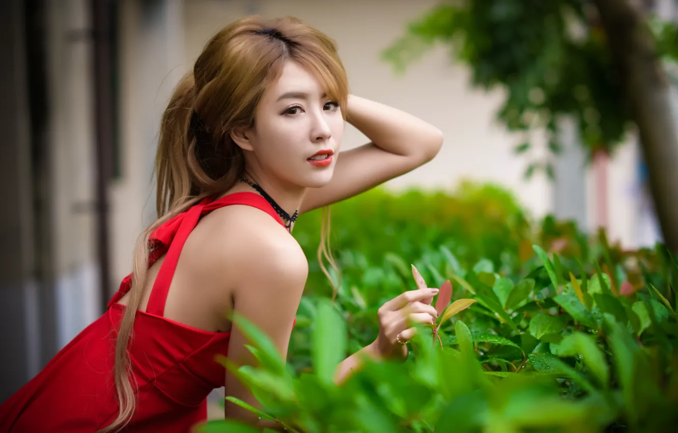 Photo wallpaper look, girl, dress, Asian