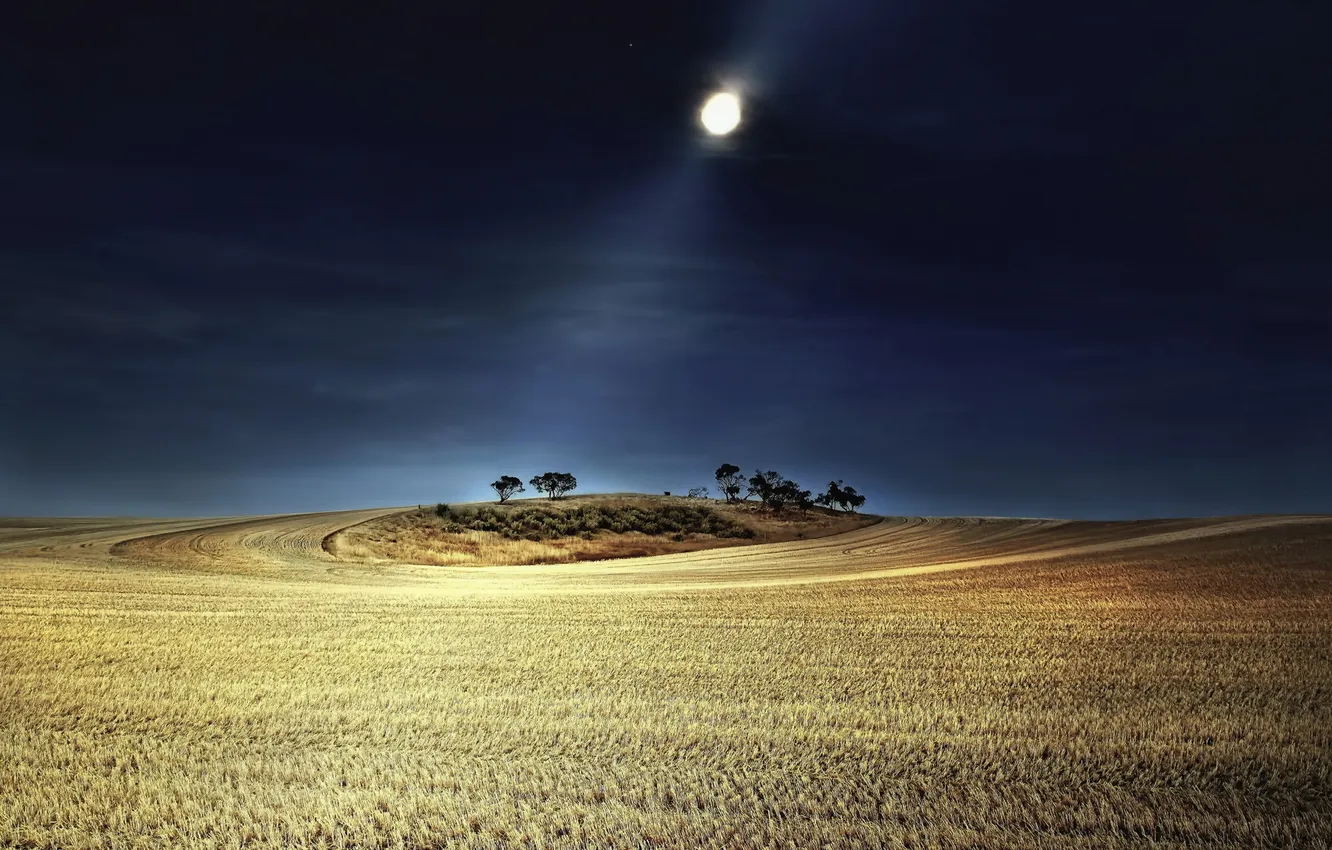 Photo wallpaper field, landscape, night