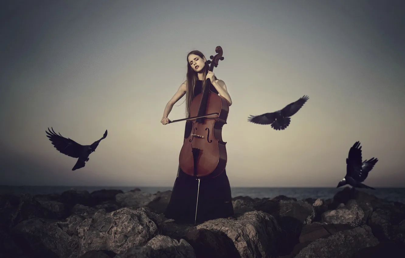 Photo wallpaper girl, bird, cello