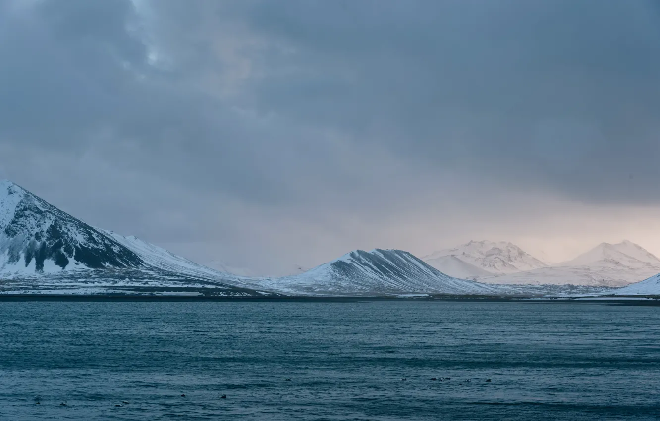 Photo wallpaper winter, sea, clouds, snow, mountains, clouds, coast, Iceland
