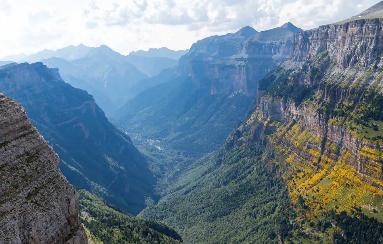 Photo wallpaper forest, the sun, clouds, trees, mountains, rocks, height, gorge
