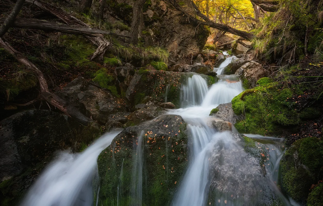 Photo wallpaper autumn, forest, trees, stream, waterfall, cascade, Argentina, Argentina