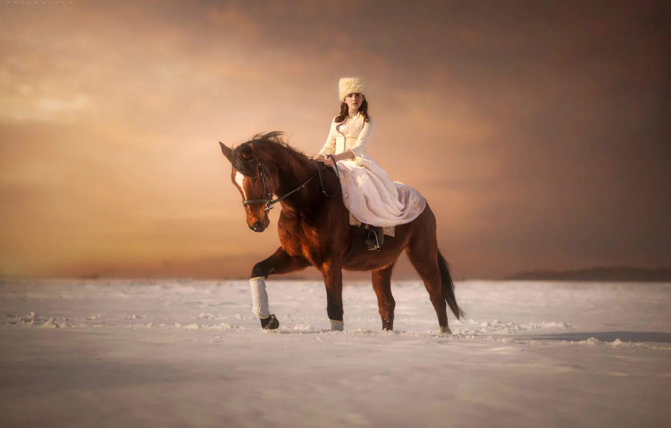 Photo wallpaper winter, girl, snow, horse, rider, Paul Szamreta