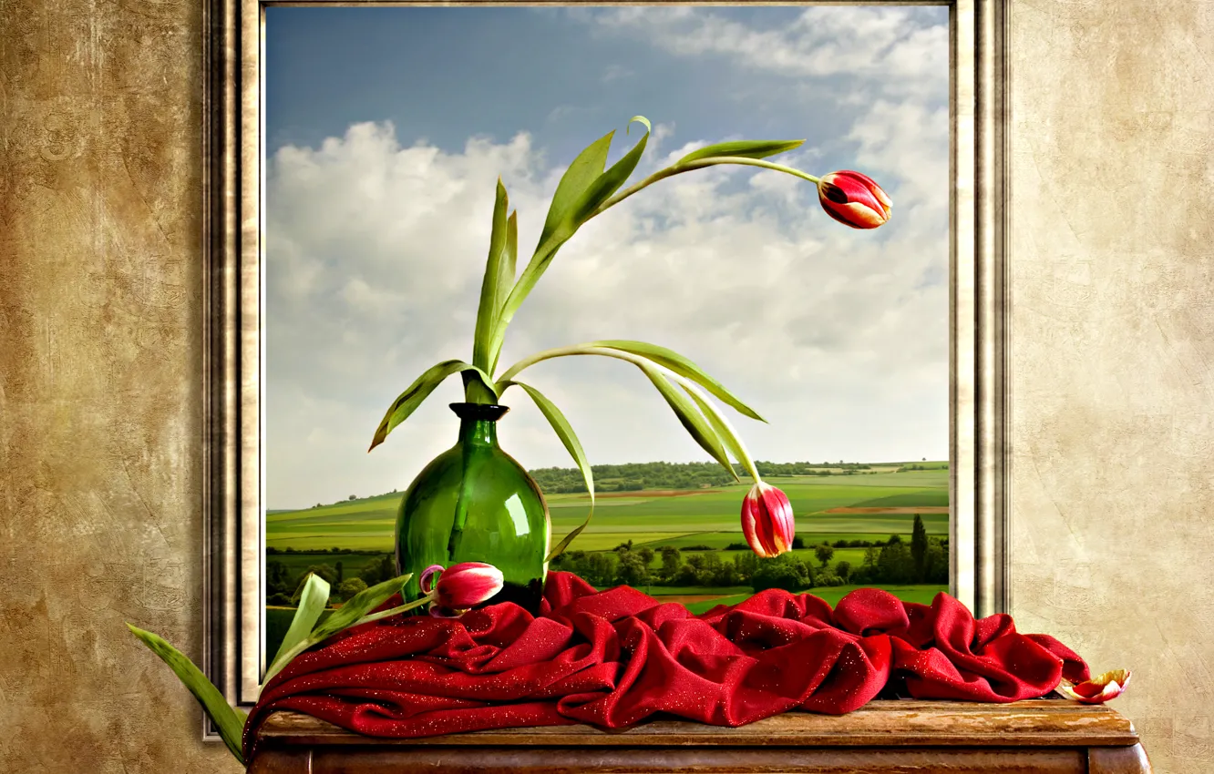 Photo wallpaper the sky, landscape, flowers, nature, tulips, the clouds