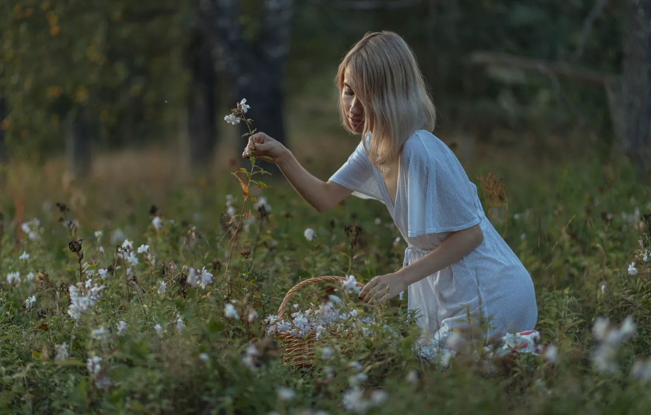 Photo wallpaper summer, grass, girl, flowers, nature, basket, dress, blonde