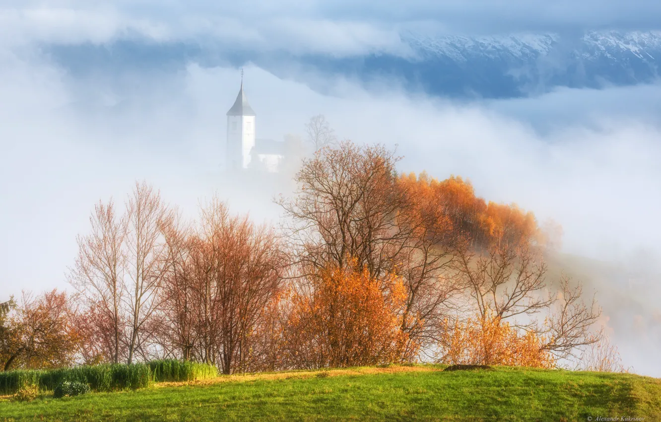 Photo wallpaper autumn, trees, landscape, nature, fog, Church, the bushes, Slovenia