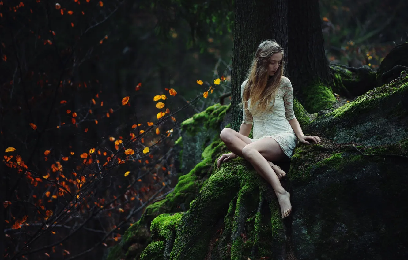 Photo wallpaper forest, girl, pose