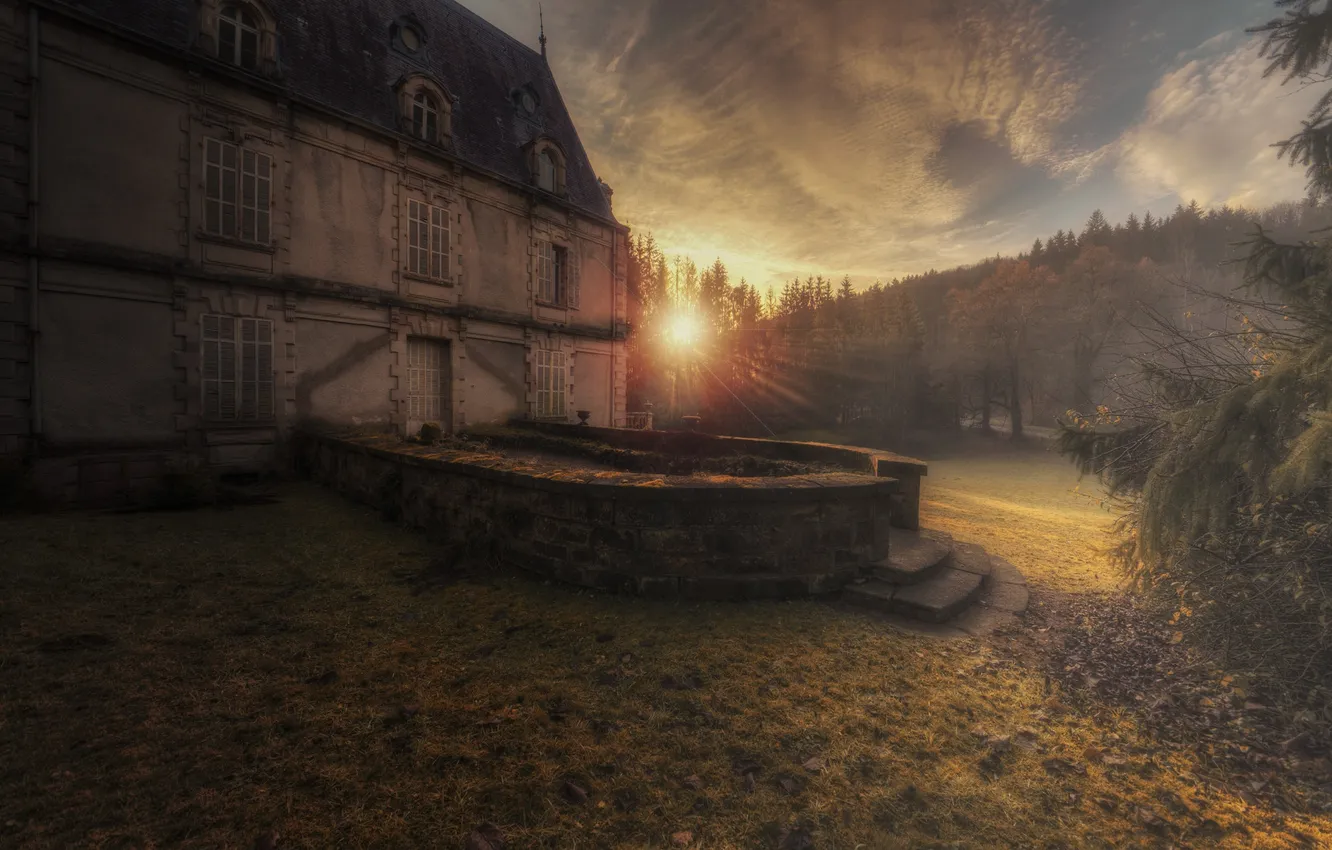 Photo wallpaper light, nature, home