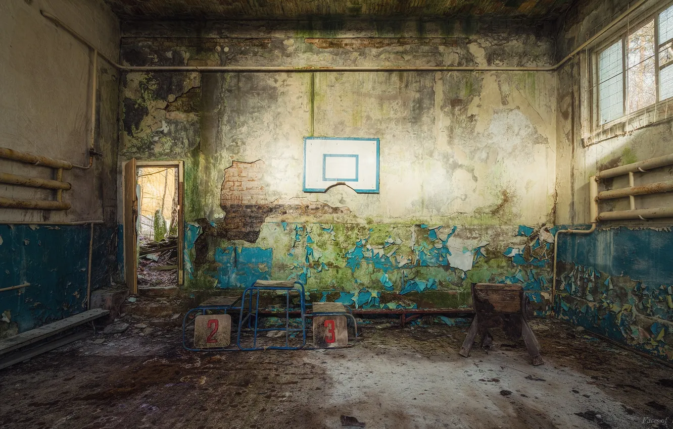 Photo wallpaper background, sport, hall