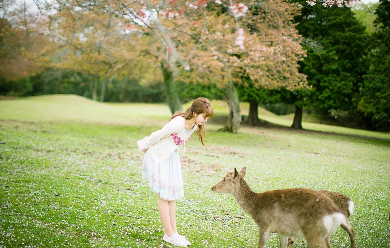 Photo wallpaper grass, woman, beautiful, model, pretty, asian, deer, outdoor