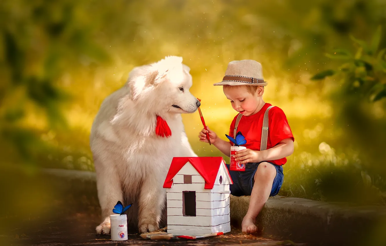 Photo wallpaper butterfly, dog, hat, boy, house, bokeh, Ksenia Lysenkova