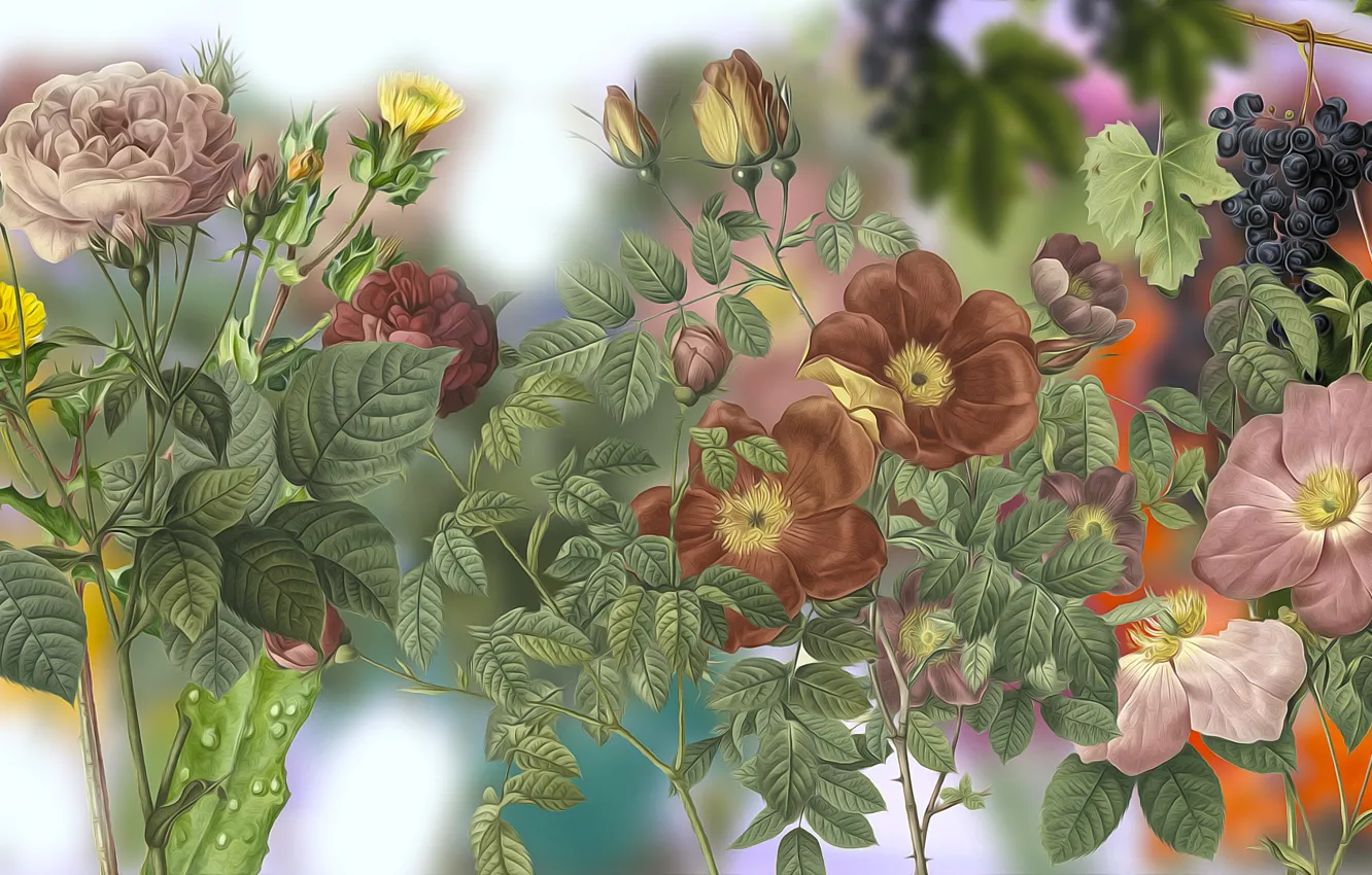 Photo wallpaper Graphics, Flowers, Roses, crushing