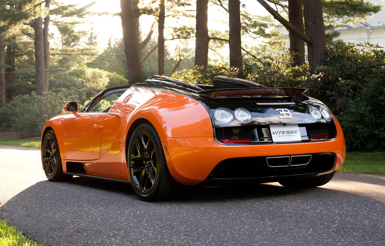 Photo wallpaper road, machine, black, sport, Bugatti Veyron, Kar, Vitesse, trees.