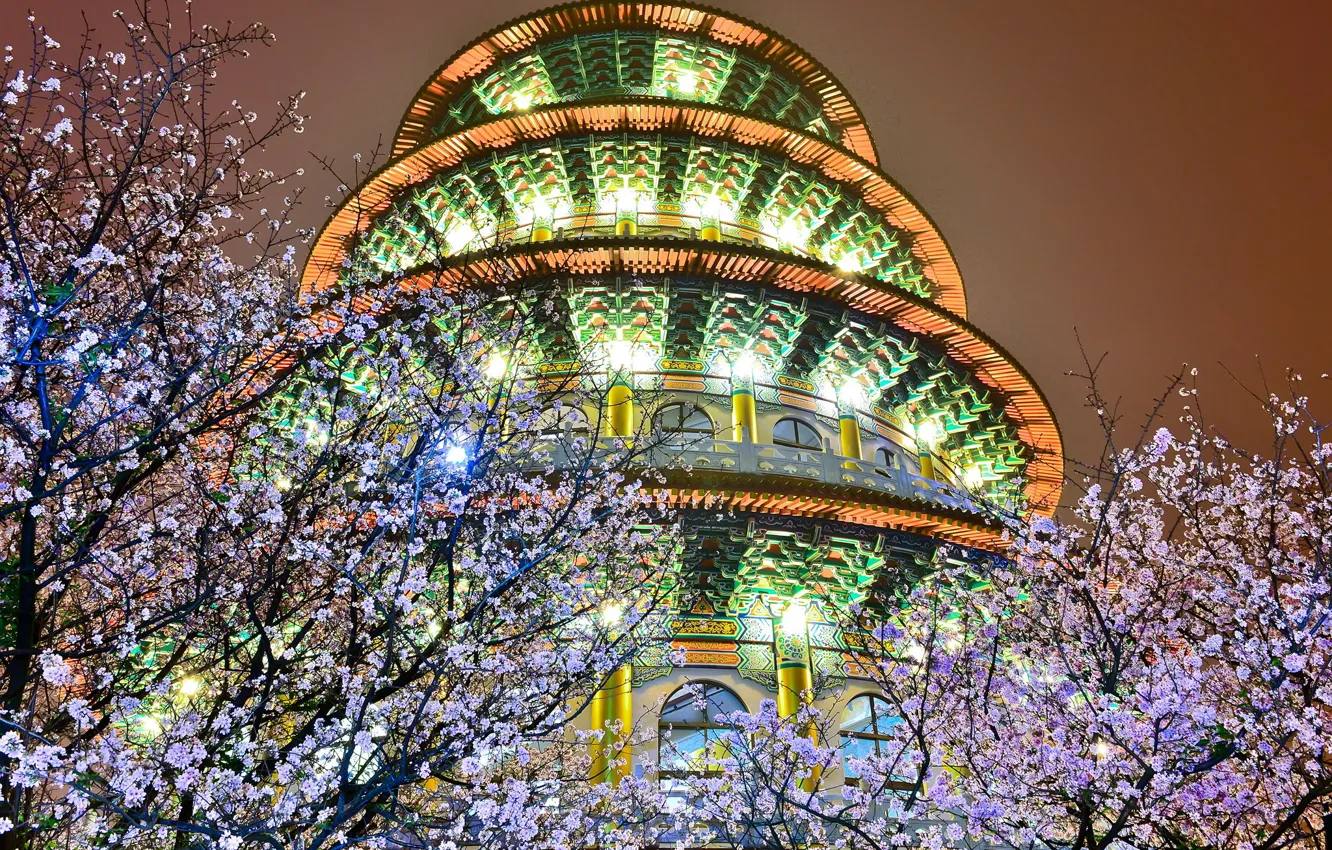 Photo wallpaper trees, night, lights, the building, spring, backlight, blooming