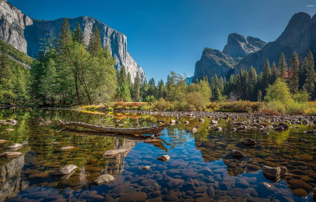 Photo wallpaper Park, river, Yosemite