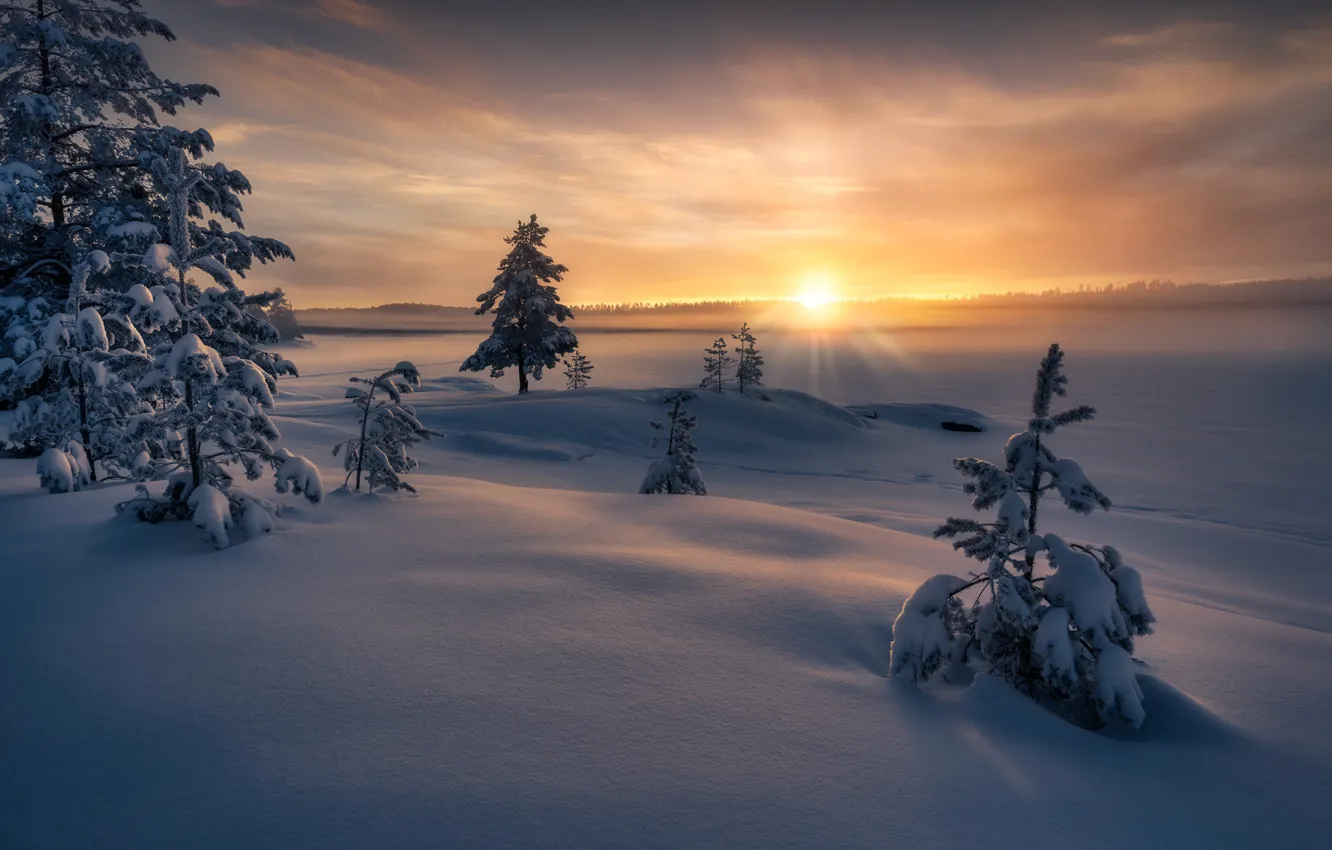 Photo wallpaper winter, rays, snow, trees, sunset, nature, Norway, Norway