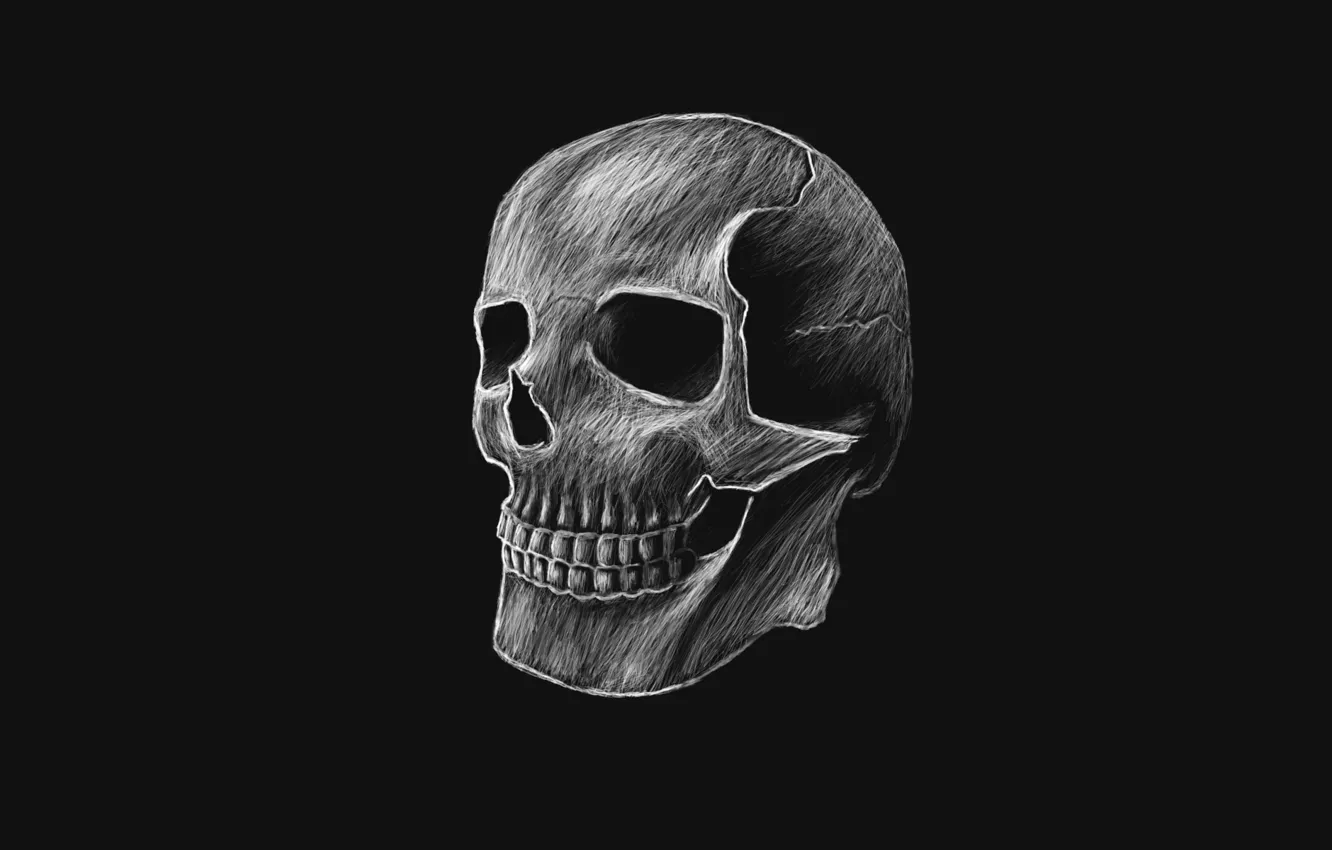 Photo wallpaper the dark background, skull, head, skeleton