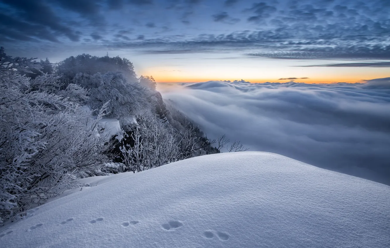 Photo wallpaper winter, sunset, mountains