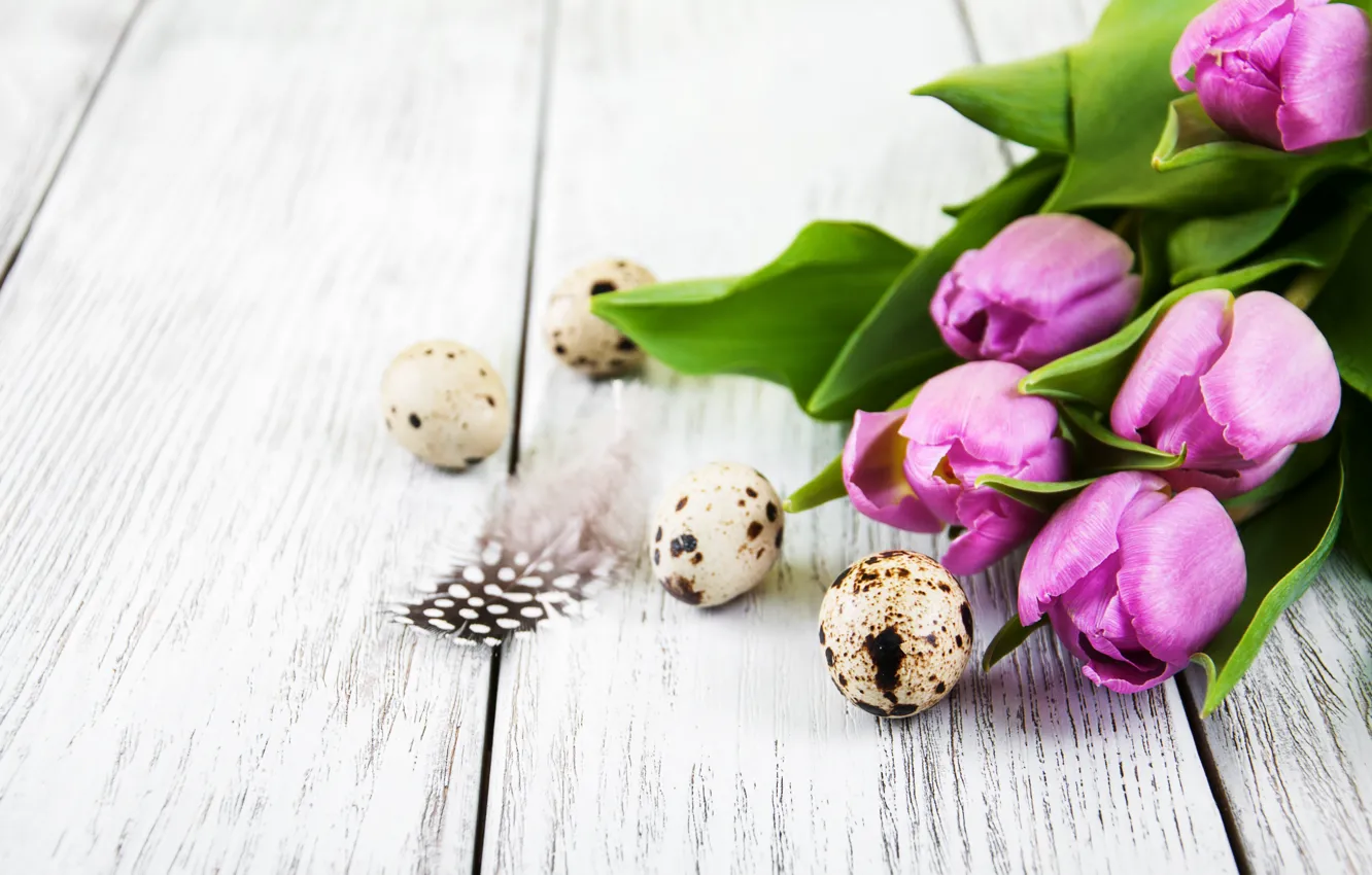 Photo wallpaper flowers, eggs, spring, colorful, Easter, tulips, wood, pink