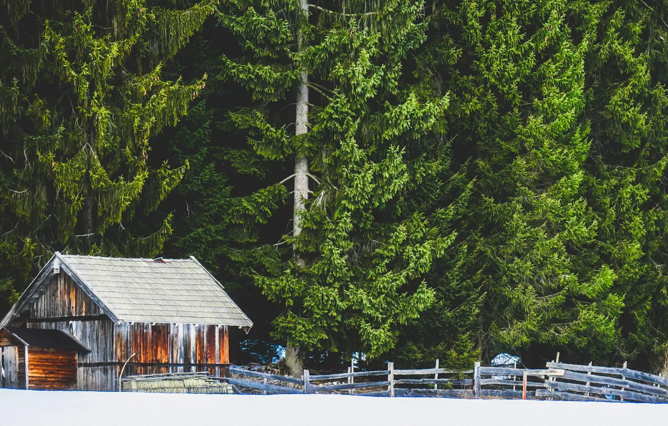 Photo wallpaper winter, forest, snow, trees, the fence, house, the edge