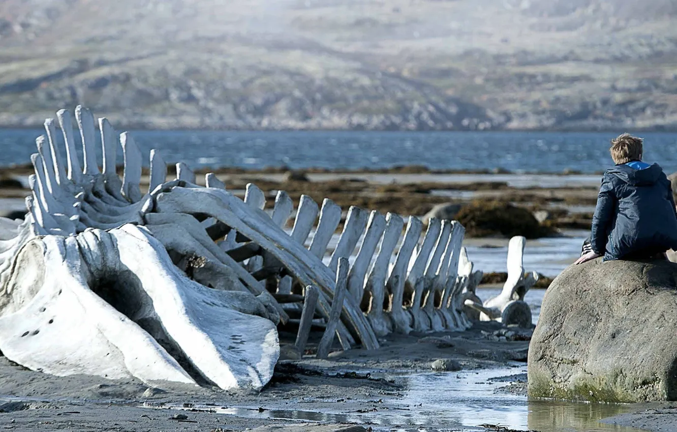 Photo wallpaper cinema, rock, beach, sea, water, boy, sand, movie