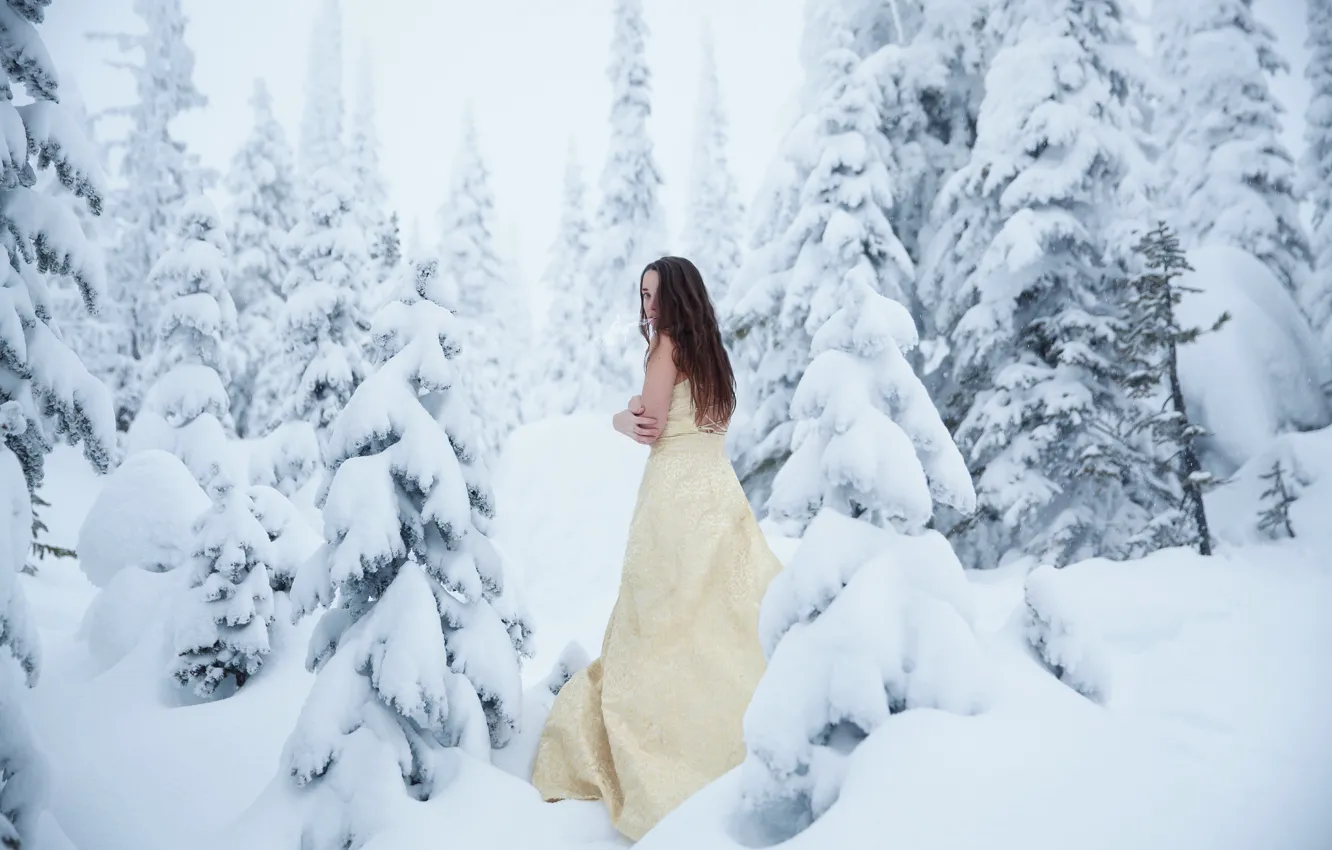 Photo wallpaper forest, girl, snow, frost, cold, Lichon, Cold Winter
