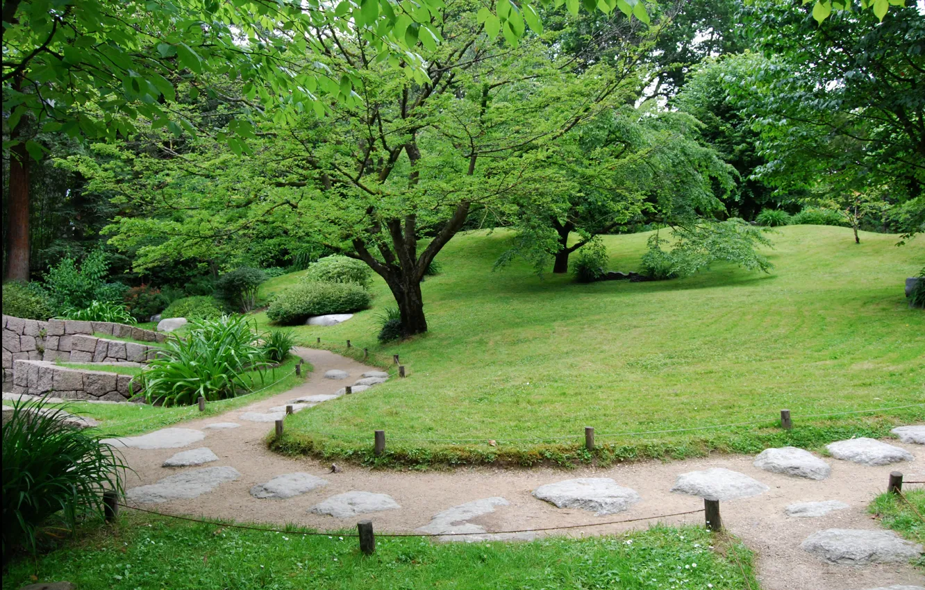 Photo wallpaper trees, nature, Park, lawn, green, spring, garden, track