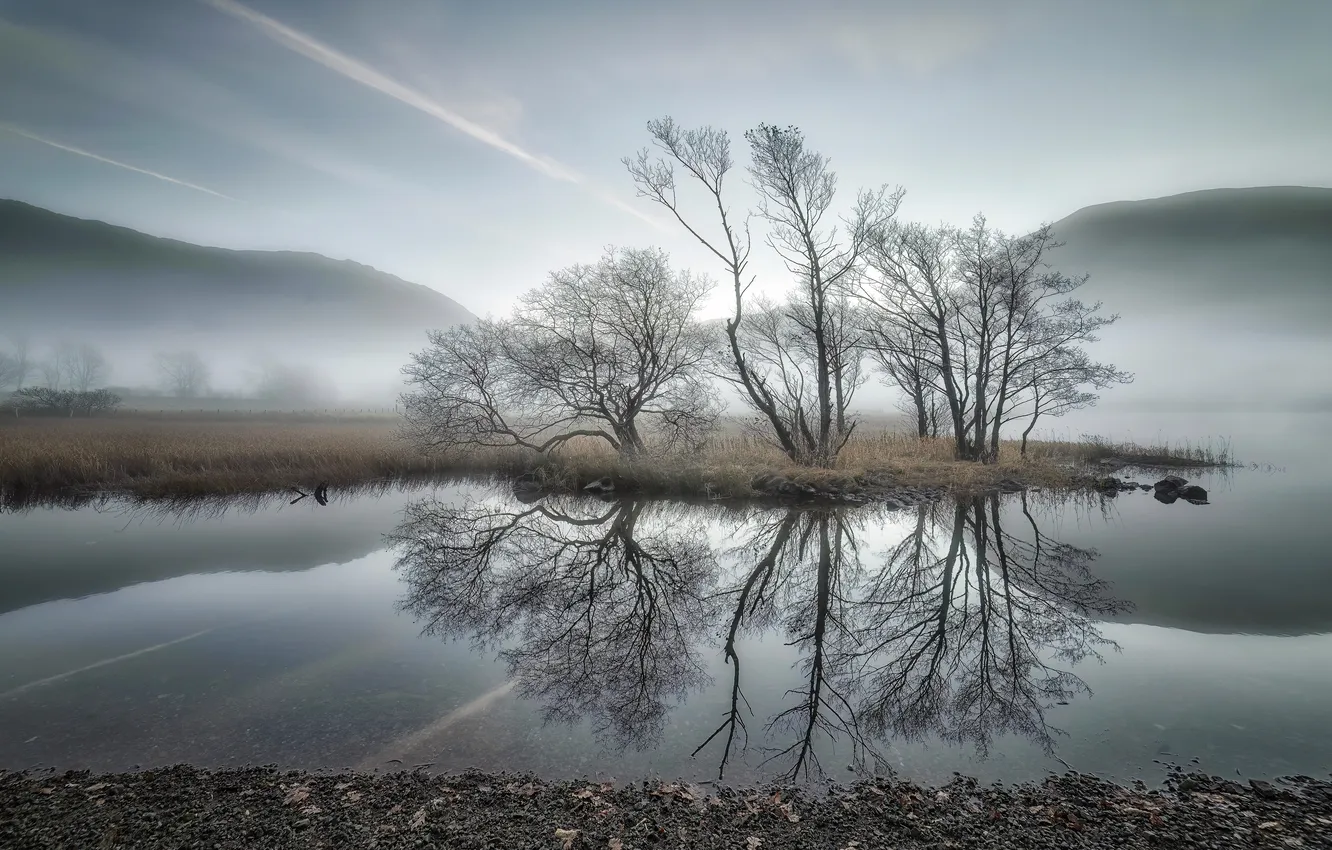 Photo wallpaper fog, river, the evening