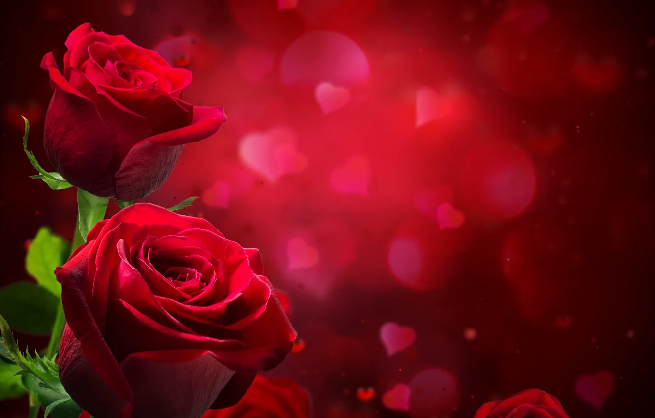 Photo wallpaper red, glare, background, roses, blur, hearts, closeup