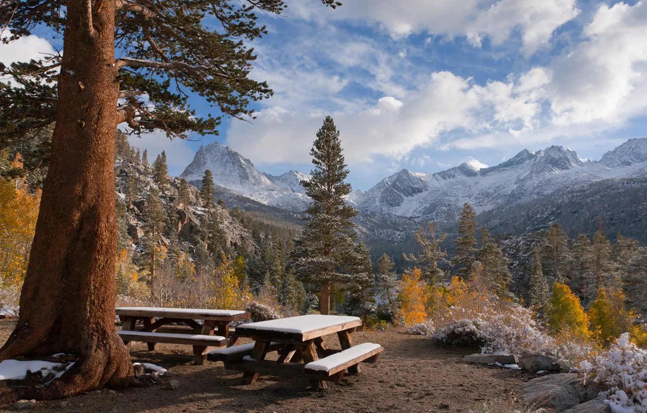 Photo wallpaper snow, trees, mountains, nature, the sky. clouds