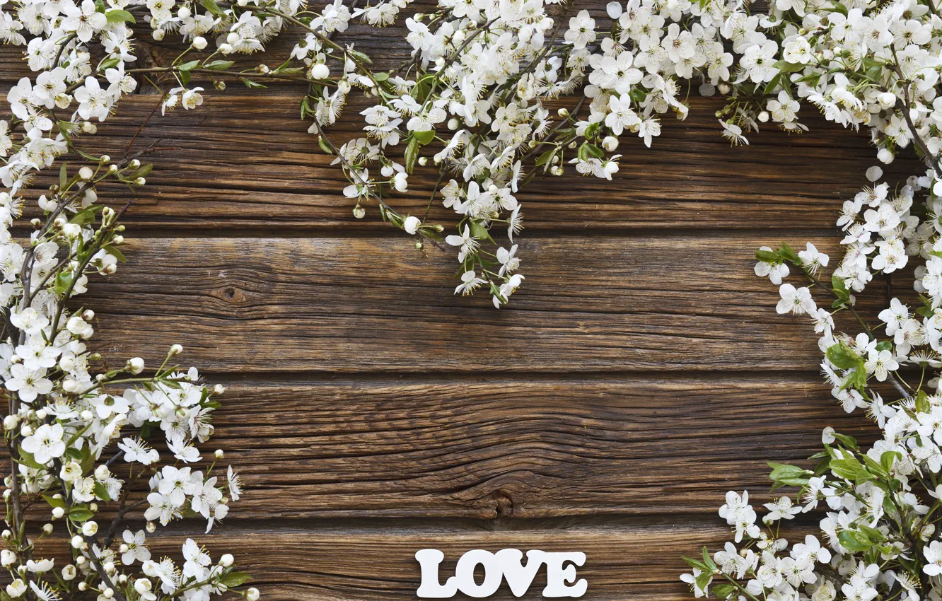 Photo wallpaper flowers, background, spring, LOVE
