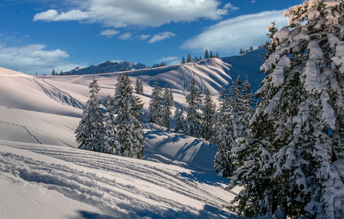 Photo wallpaper winter, forest, clouds, light, snow, trees, mountains, traces