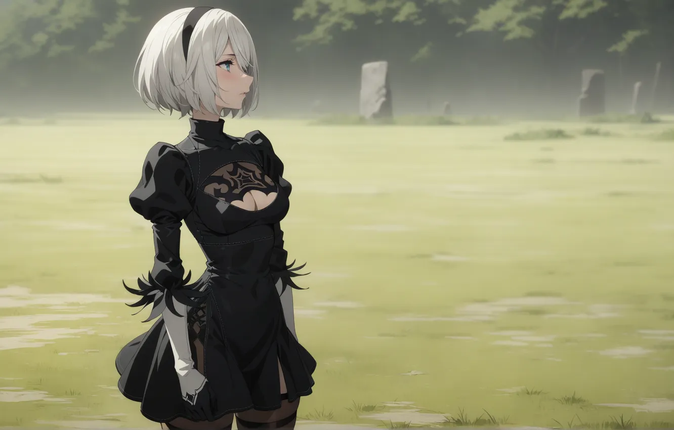 Photo wallpaper field, girl, girl, field, nier, Nier Automata, YoRHa, nier 2b