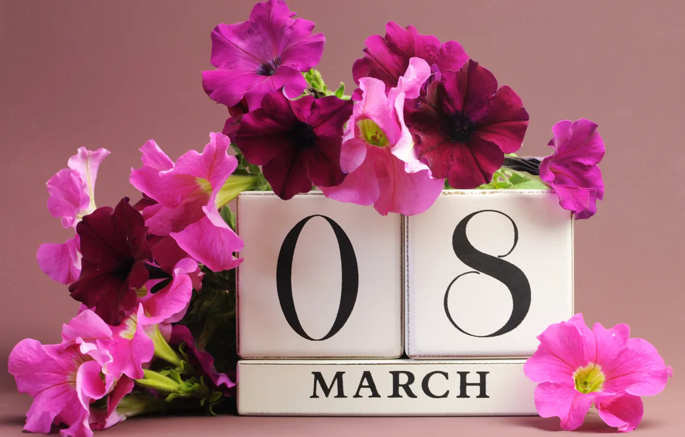 Photo wallpaper flowers, March 8, date, congratulations, Petunia, women's day