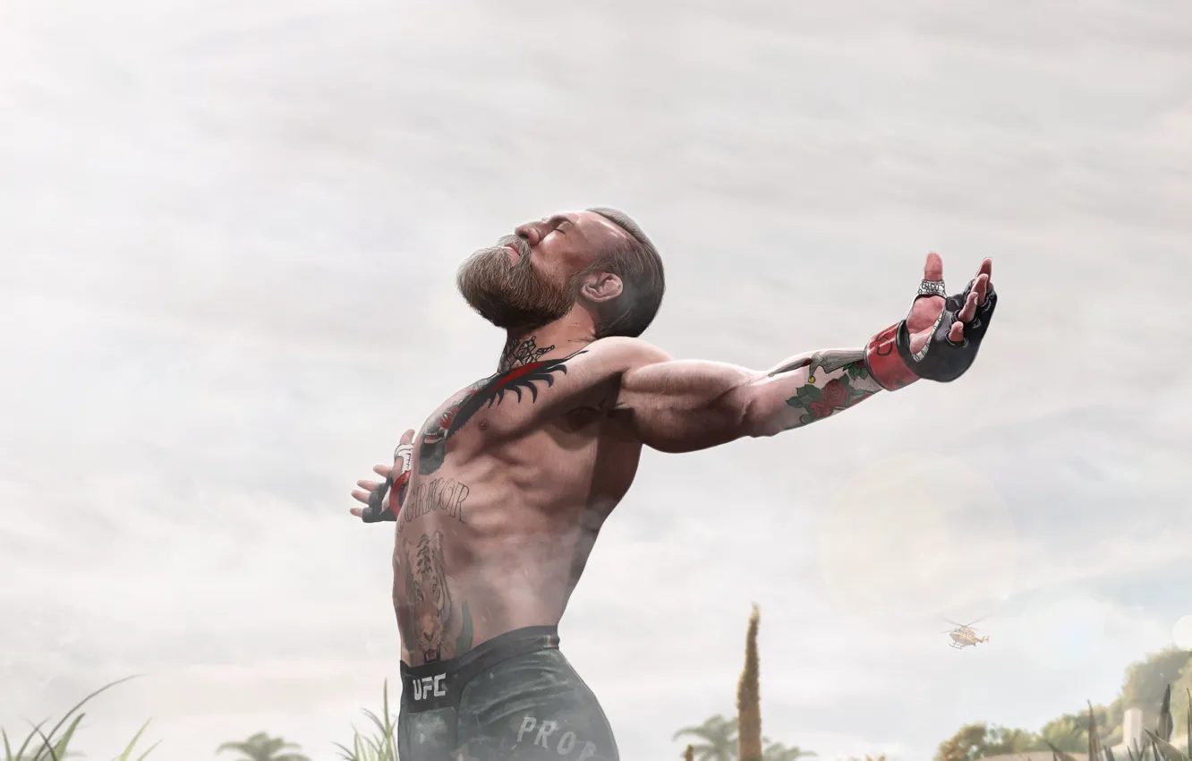 Photo wallpaper realism, sport, figure, sport, art, artist, animation, conor mcgregor