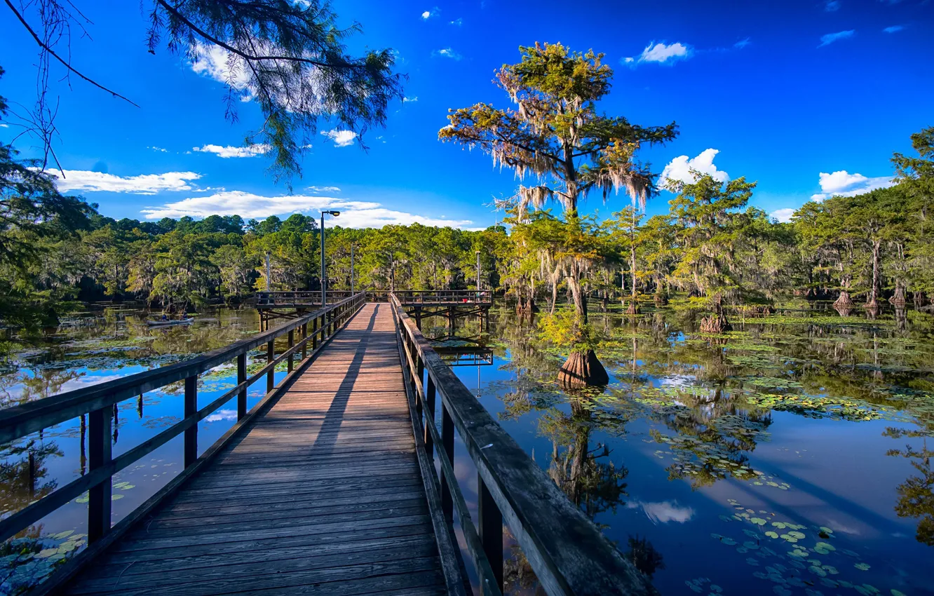 Photo wallpaper forest, the sky, water, the sun, clouds, trees, lake, pier