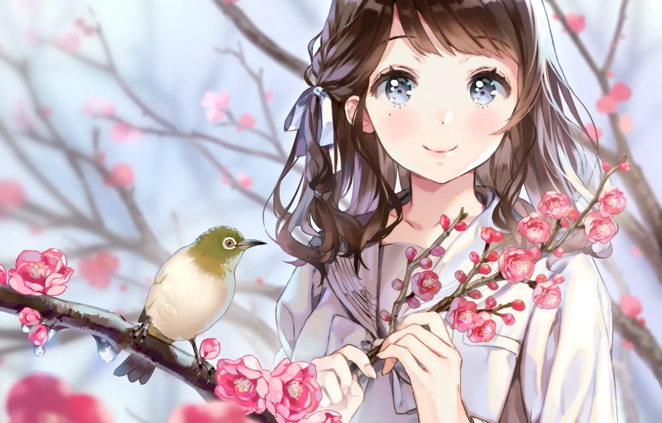 Photo wallpaper look, anime, Sakura, girl, bird, white-eyed